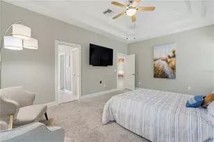 10842 Wild Cotton Ct, Land O Lakes, FL 34638 - Photo 25