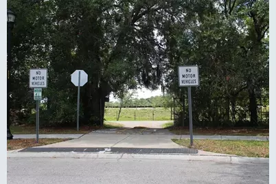 10842 Wild Cotton Court, Land O Lakes, FL 34638 - Photo 55