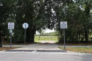10842 Wild Cotton Ct, Land O Lakes, FL 34638 - Photo 55
