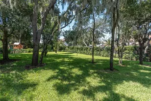 16301 Dunlindale Dr, Lithia, FL 33547 - Photo 65