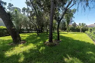 16301 Dunlindale Dr, Lithia, FL 33547 - Photo 63