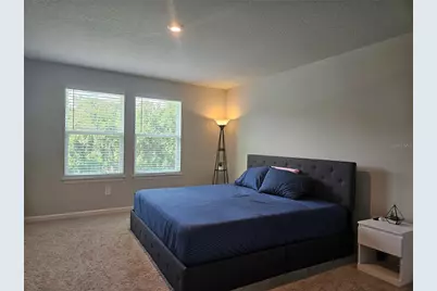 26030 Fantasy Sky Lane, Lutz, FL 33559 - Photo 19