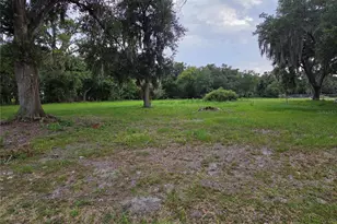 10716 McIntosh Rd, Thonotosassa, FL 33592 - Photo 1