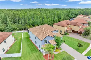 19265 Umberland Pl, Land O Lakes, FL 34638 - Photo 53