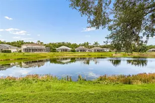 10229 Quails Landing Ave, Tampa, FL 33647 - Photo 81