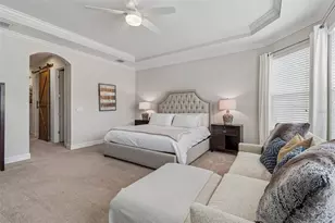 8908 Bella Vita Cir, Land O Lakes, FL 34637 - Photo 27