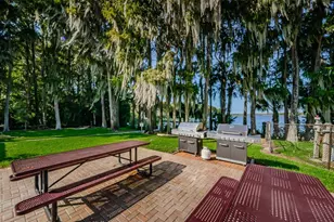 1529 E Dorchester Dr, Palm Harbor, FL 34684 - Photo 37