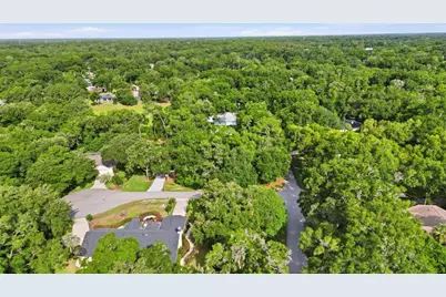 Lot 3 SW 93rd Loop, Dunnellon, FL 34432 - Photo 5