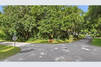 Lot 3 SW 93rd Loop, Dunnellon, FL 34432 - Photo 1