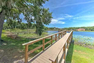 2459 Shorewood Ln, Land O Lakes, FL 34639 - Photo 3