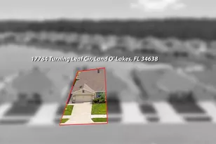 17784 Turning Leaf Cir, Land O Lakes, FL 34638 - Photo 45