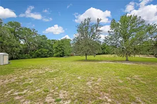 20136 Twin Oaks Rd, Spring Hill, FL 34610 - Photo 5