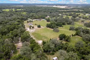 20136 Twin Oaks Rd, Spring Hill, FL 34610 - Photo 59