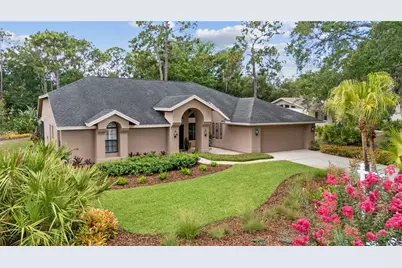 3372 Brian Road S, Palm Harbor, FL 34685 - Photo 37