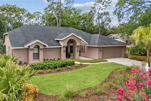 3372 Brian Rd S, Palm Harbor, FL 34685 - Photo 37