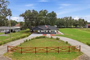 1205 E Knights Griffin Rd, Plant City, FL 33565 - Photo 57
