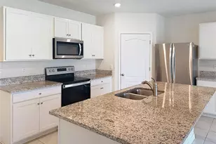 533 Talisi Loop, Saint Cloud, FL 34771 - Photo 9