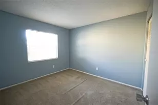 5117 Ellendale Ave, Tampa, FL 33625 - Photo 13