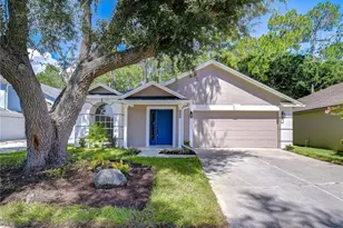 8545 Manassas Rd, Tampa, FL 33635 - Photo 1