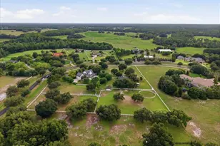 11511 Trotting Down Dr, Odessa, FL 33556 - Photo 63