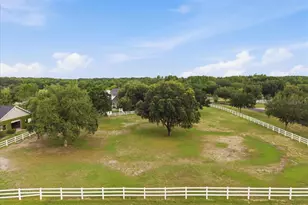 11511 Trotting Down Dr, Odessa, FL 33556 - Photo 61