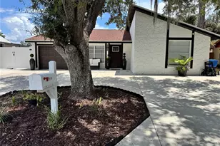 10114 Briarwick Ct, Tampa, FL 33615 - Photo 1