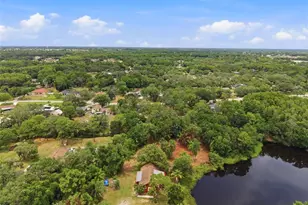 6409 Chiswick Ct, New Port Richey, FL 34655 - Photo 53