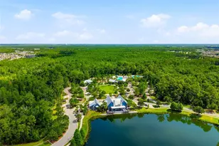 16952 Balance Cv, Land O Lakes, FL 34638 - Photo 31