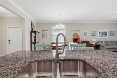 16952 Balance Cove, Land O Lakes, FL 34638 - Photo 15
