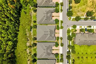 16952 Balance Cv, Land O Lakes, FL 34638 - Photo 29