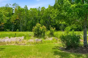 16952 Balance Cv, Land O Lakes, FL 34638 - Photo 27