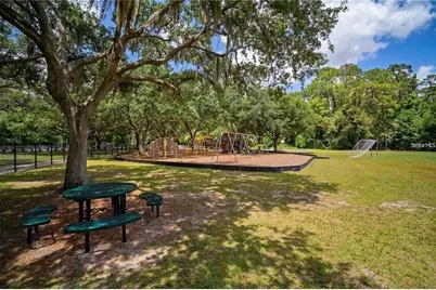 3916 Broomsedge Lane, Valrico, FL 33596 - Photo 55
