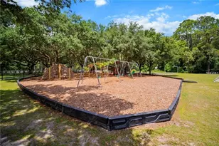 3916 Broomsedge Ln, Valrico, FL 33596 - Photo 55
