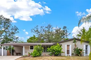 10708 N Ojus Dr, Tampa, FL 33617 - Photo 29
