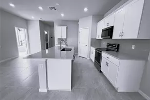 19646 Shady Oak Dr, Land O Lakes, FL 34638 - Photo 3