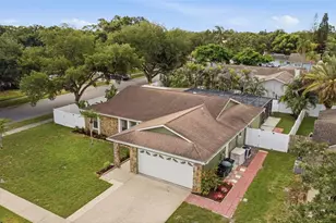 102 Peacock Cir, Safety Harbor, FL 34695 - Photo 57