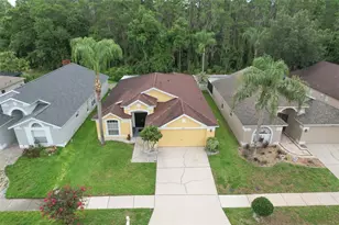 30914 Burleigh Dr, Wesley Chapel, FL 33543 - Photo 3
