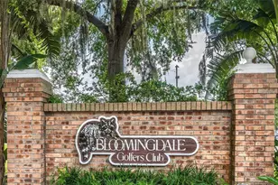 3612 Pine Knot Dr, Valrico, FL 33596 - Photo 39