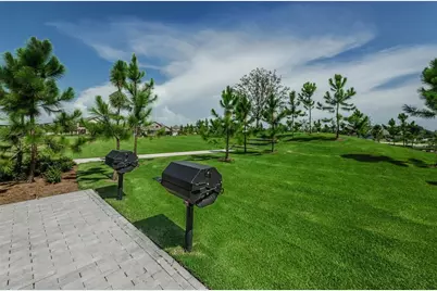 12334 Lake Blanche Drive, Odessa, FL 33556 - Photo 49