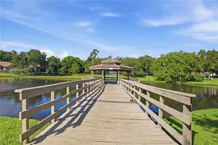 3459 Woodridge Pkwy, Palm Harbor, FL 34684 - Photo 53
