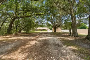 10501 Sherrouse Rd, Lakeland, FL 33810 - Photo 5