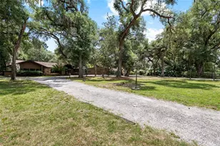 181 N Smokey Mountain Rd, Seffner, FL 33584 - Photo 39
