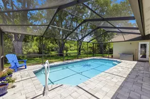 4703 Devonshire Blvd, Palm Harbor, FL 34685 - Photo 51