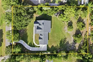 26644 Easy St, Wesley Chapel, FL 33544 - Photo 3