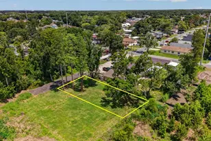 6817 N Blossom Ave, Tampa, FL 33614 - Photo 1