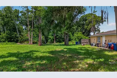 6817 N Blossom Avenue, Tampa, FL 33614 - Photo 7