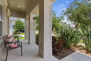 5565 Silver Sun Dr, Apollo Beach, FL 33572 - Photo 3