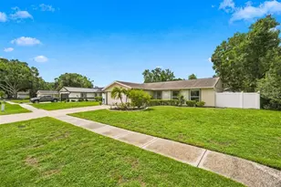 5309 Black Pine Dr, Tampa, FL 33624 - Photo 29