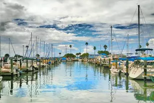 7 Elgin Pl, Dunedin, FL 34698 - Photo 45