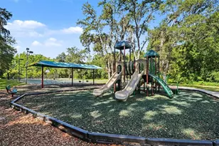 14906 Man O War Dr, Odessa, FL 33556 - Photo 47